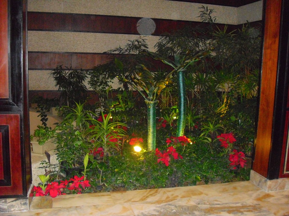 Blumenarangement Stella Di Mare Beach Hotel & Spa, Sharm El Sheikh