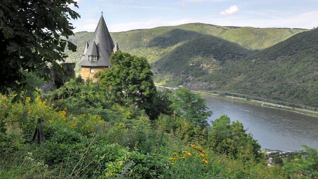 Sonstiges Ferienwohnung Rheinblick