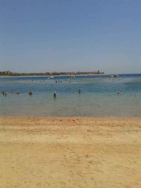 Blick auf den Strand Jaz Makadi Oasis Resort