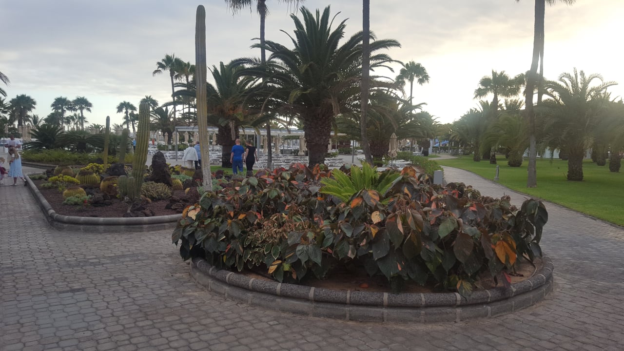 Gartenanlage Hotel Riu Gran Canaria