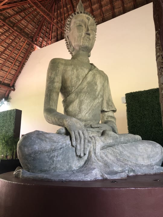 Sport & Freizeit Akumal Bay Beach & Wellness Resort