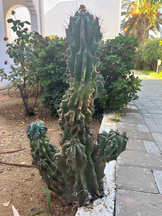 Gartenanlage HARPIN Happy Days Beach Hotel