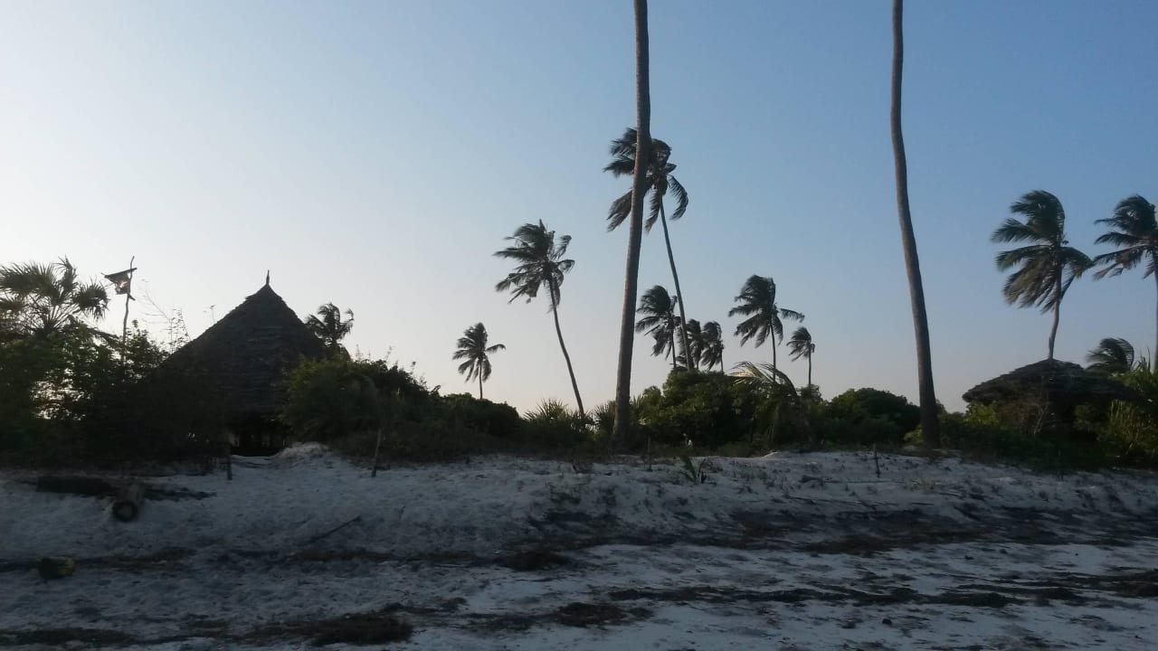 Sonnenuntergang Bahari Baobab Camp