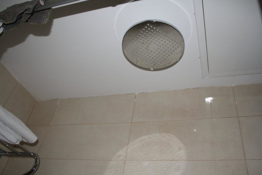 Die Regendusche Asteria Collection Side