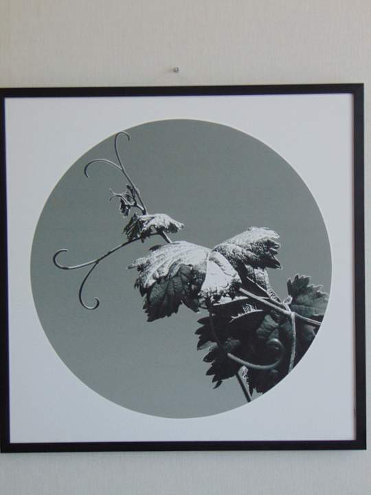 Zimmer Holiday Inn Telavi