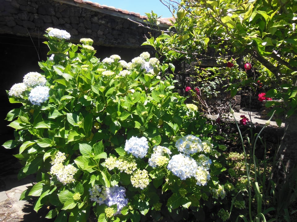 Gartenanlage Casa Rural Aborigen Bimbache