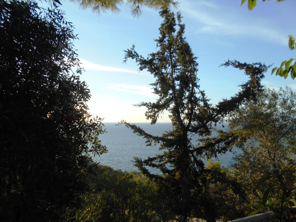 Ausblick Hotel Pine Bay Holiday Resort