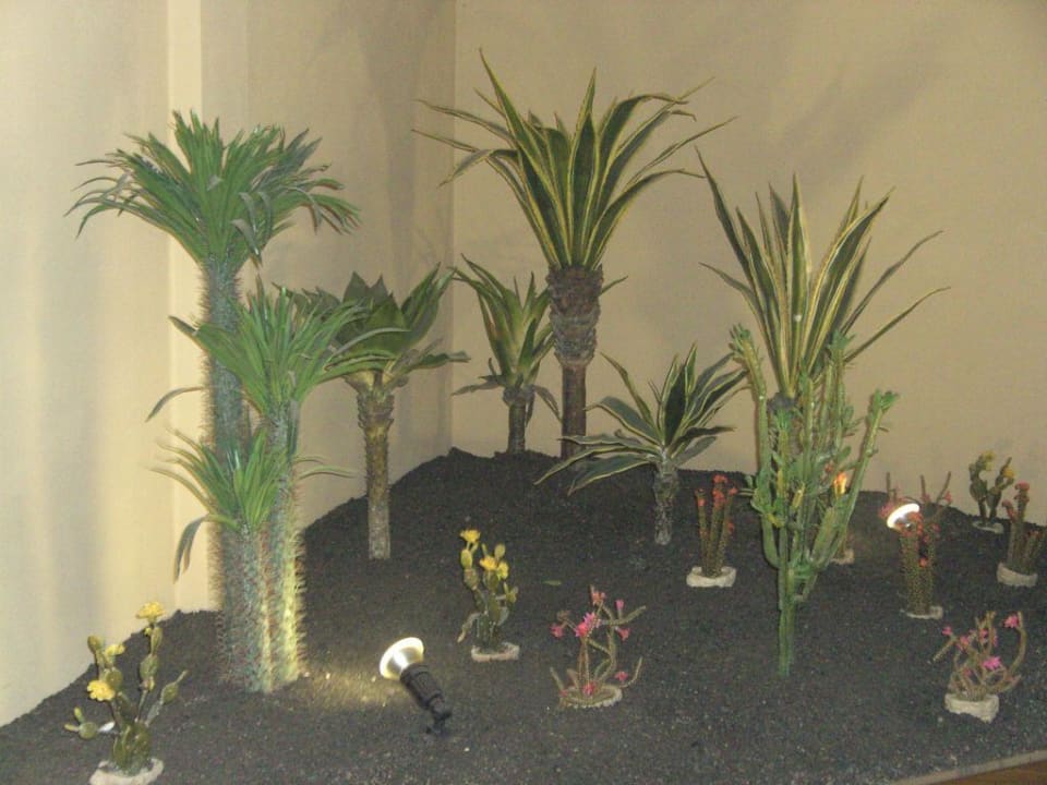 Eine der Pflanzenecken im Hotel Elba Carlota Beach & Golf Resort