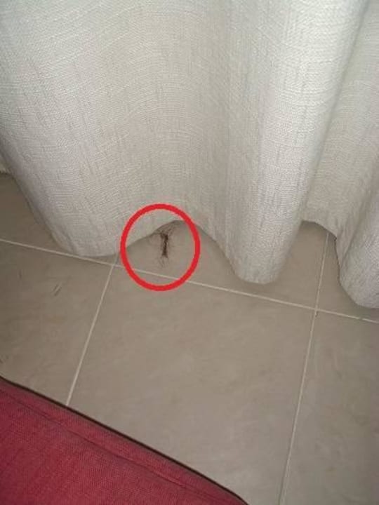 Haare vom vorherigen Bewohner Villas Bavaro Resort & Spa