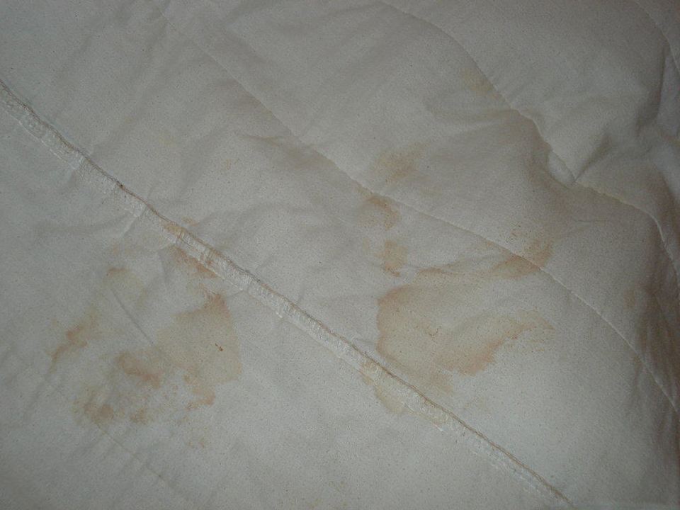 Zweite, neue Überdecke Melia Las Antillas - Adults only