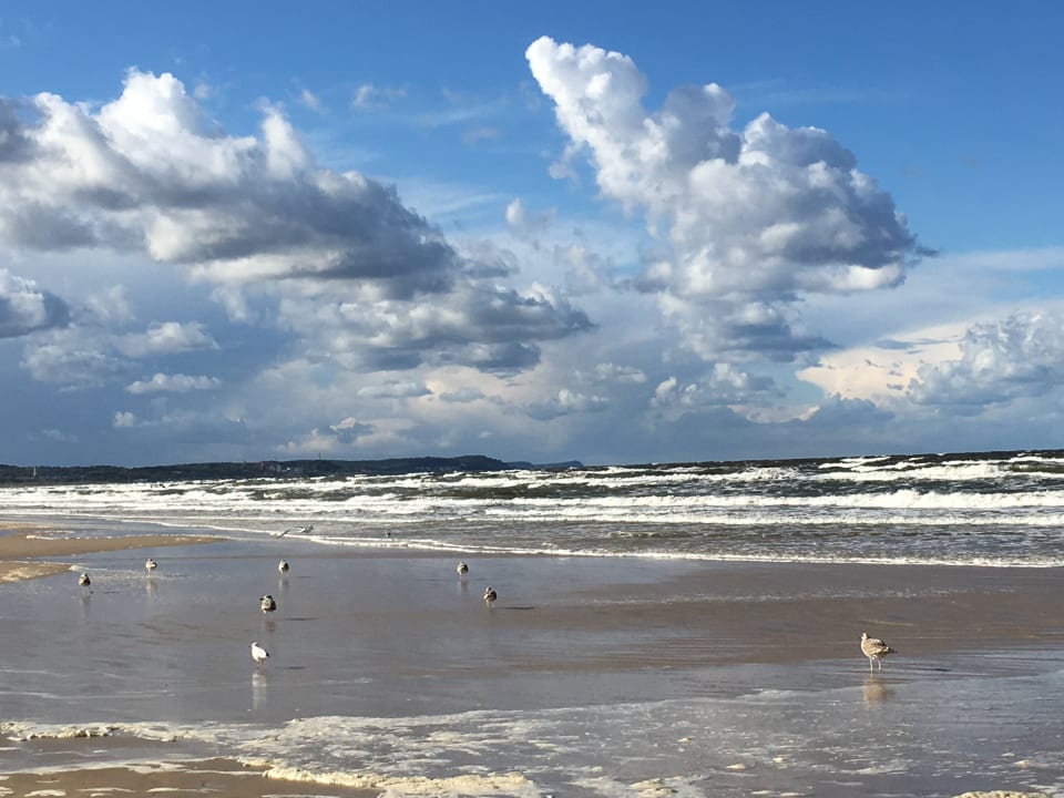 Außenansicht Villa Antares