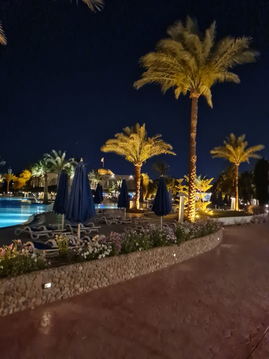 Gartenanlage Desert Rose