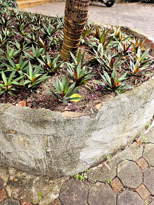 Gartenanlage The Fair House Beach Resort