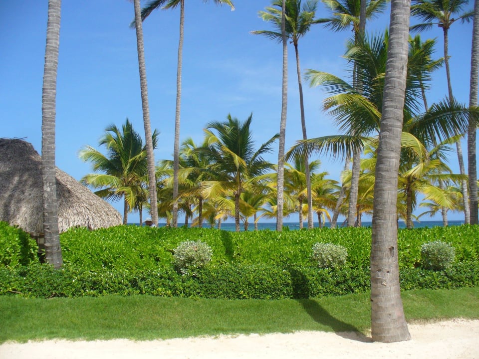 Vom Hauptrestaurant aus gesehen Secrets Royal Beach Punta Cana - Adults only
