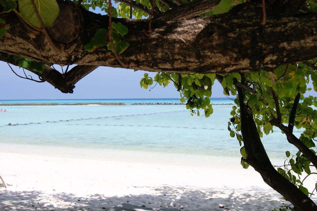 Ausblick von Bungi Nr. 27 Summer Island Maldives