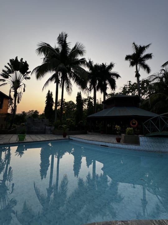 Pool Safari Adventure Lodge