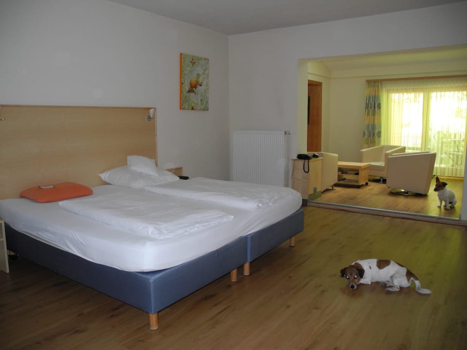 Wald wellness Suite Thula Wellnesshotel Bayerischer Wald