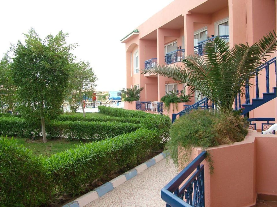 Zdjęcie z tarasu Pickalbatros Royal Moderna Resort-Sharm El Sheikh