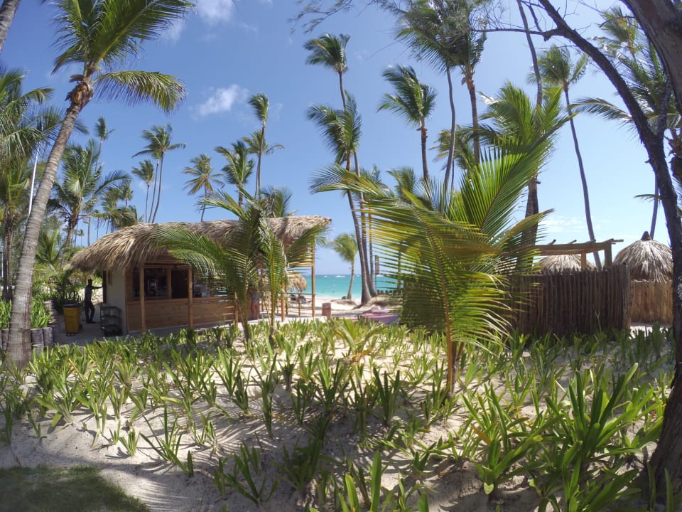 Gartenanlage TRS Turquesa Hotel - Adults only