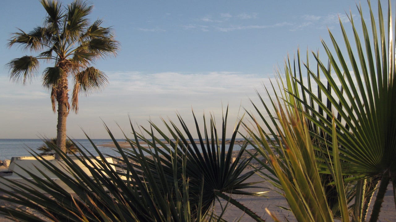 Romantische Aussicht Hotel Sheraton Soma Bay Resort