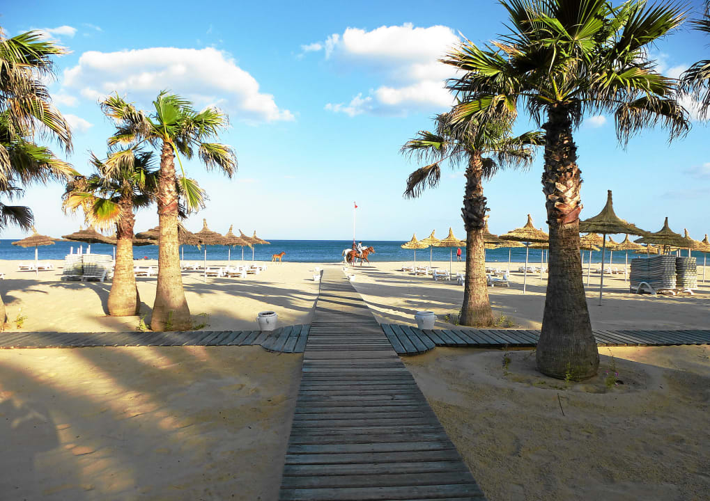 Kamelreiten Oceana Hotel & Spa