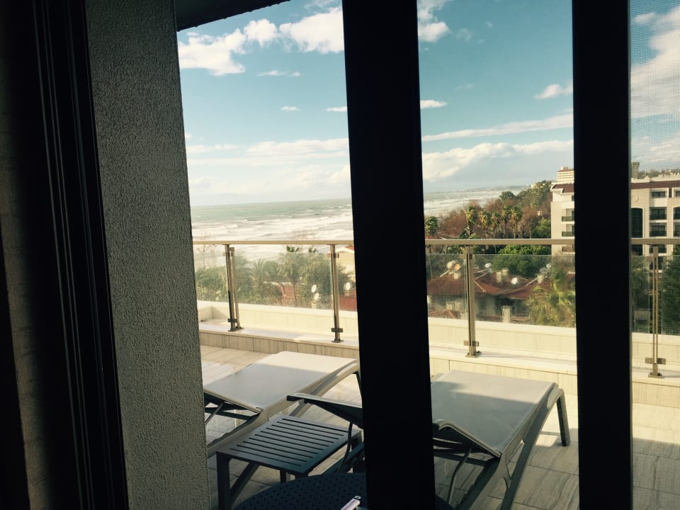 Zimmer Acanthus Cennet Barut Collection