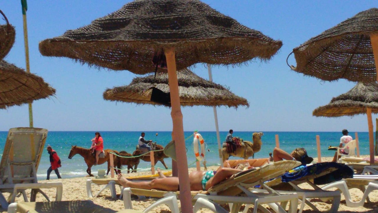 Toller Blick und immer Zoo dabei. Hotel Nesrine