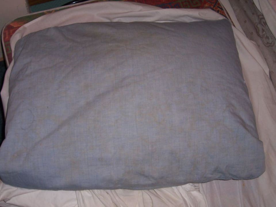 Kissen Hotel Ambassador