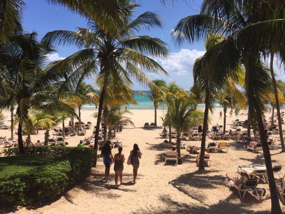 Mexiko März 2015 Hotel Riu Tequila