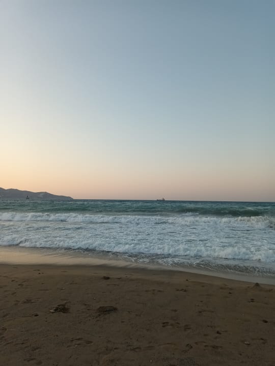 Strand Dessole Dolphin Bay Resort