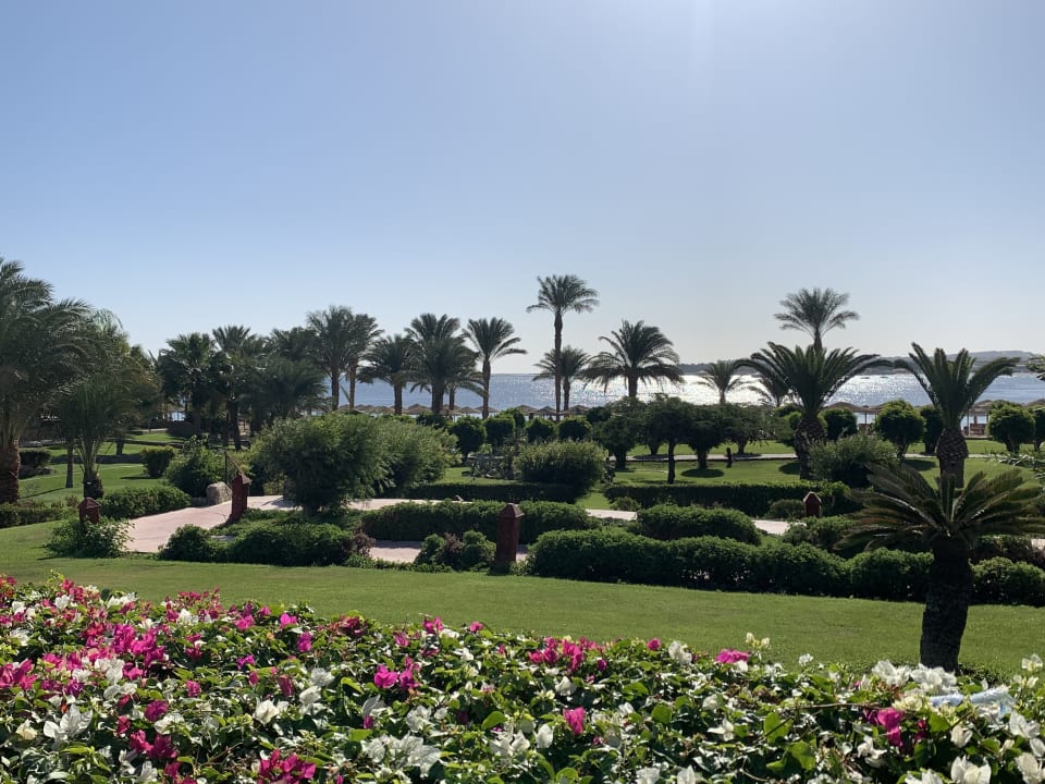 Gartenanlage Fort Arabesque Resort, Spa & Villas