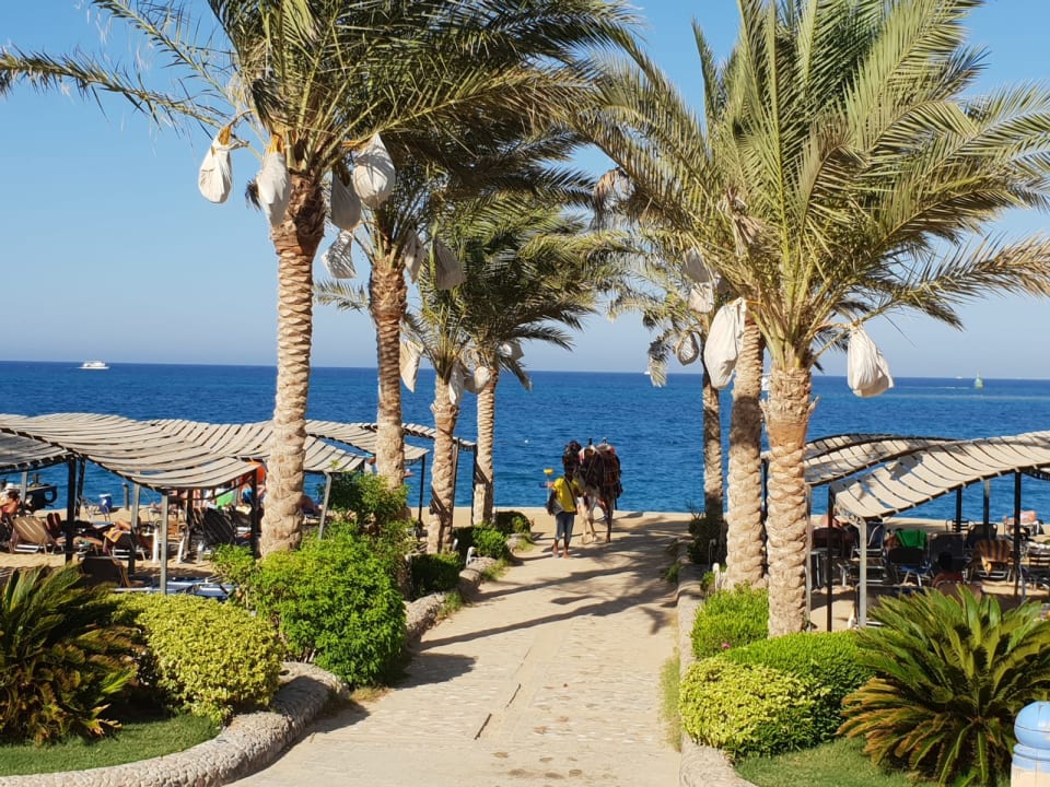 Strand King Tut Resort