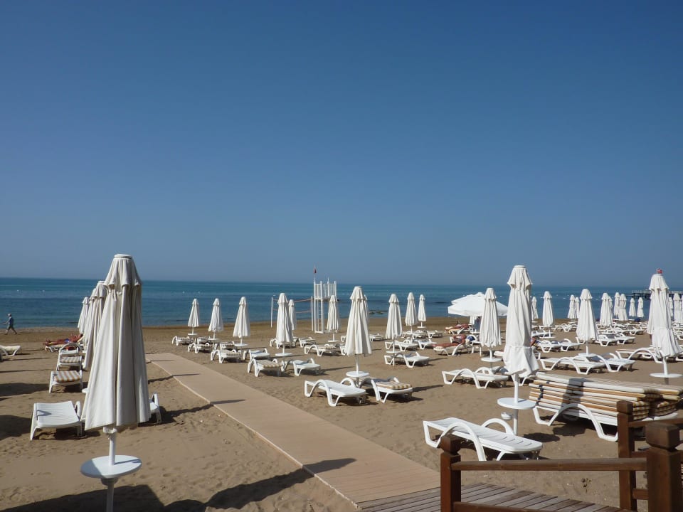 Von der Strandpromenade Arum Barut Collection