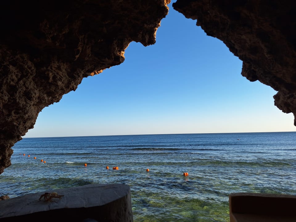 Ausblick Pickalbatros Vita Resort - Portofino Marsa Alam