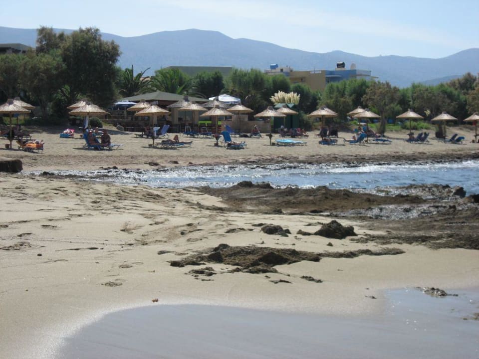 Hotelstrand Phãea Cretan Malia