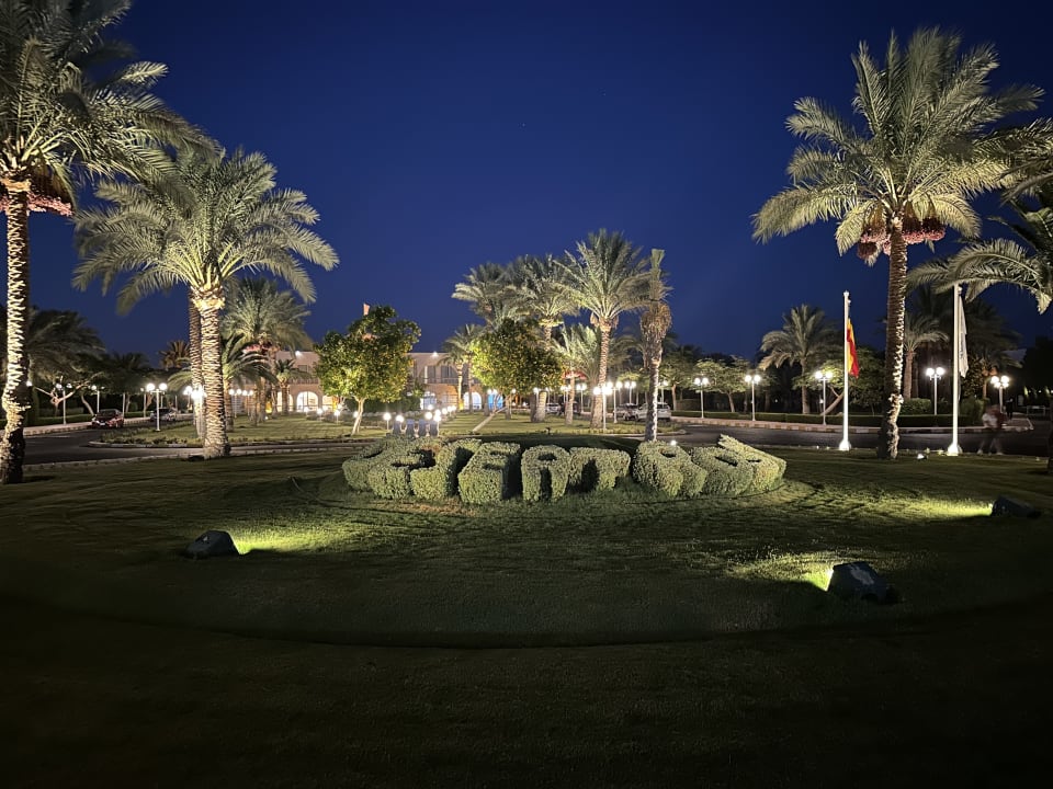Gartenanlage Desert Rose