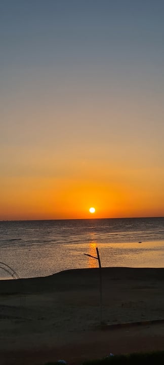 Ausblick Malikia Resort Abu Dabbab