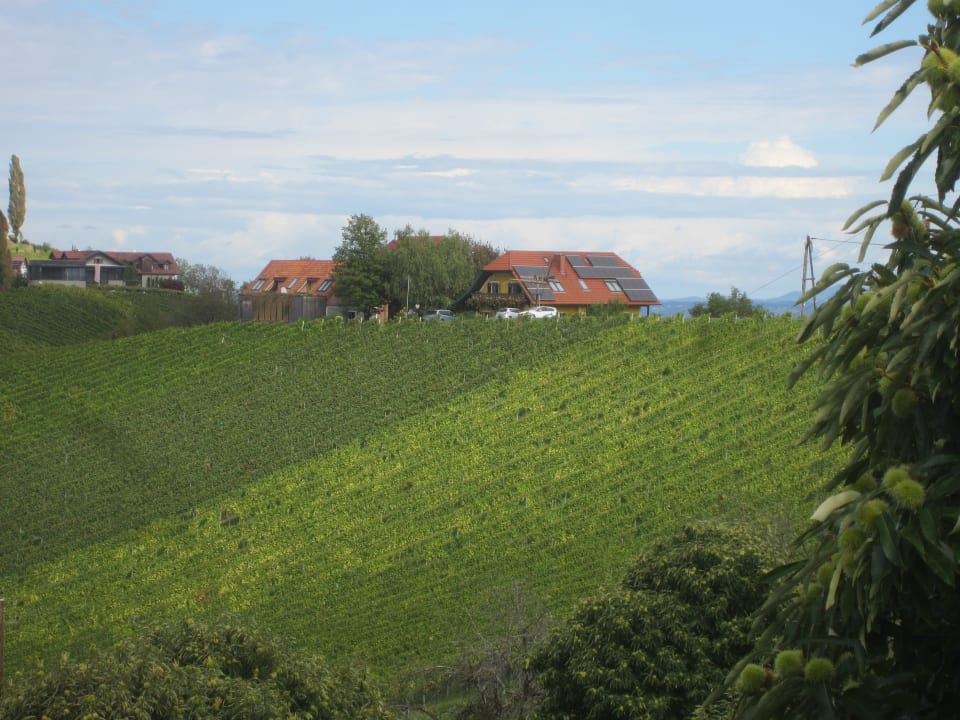 Außenansicht Weingut Kögl