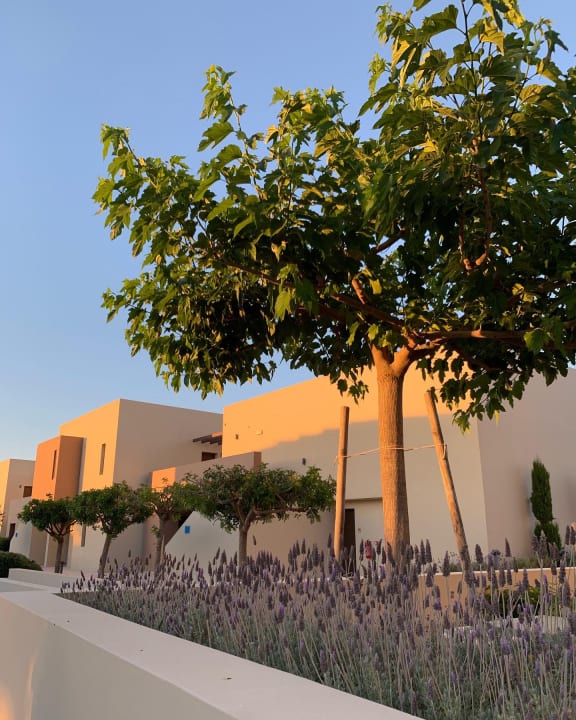 Gartenanlage Astir Odysseus Kos Resort & Spa