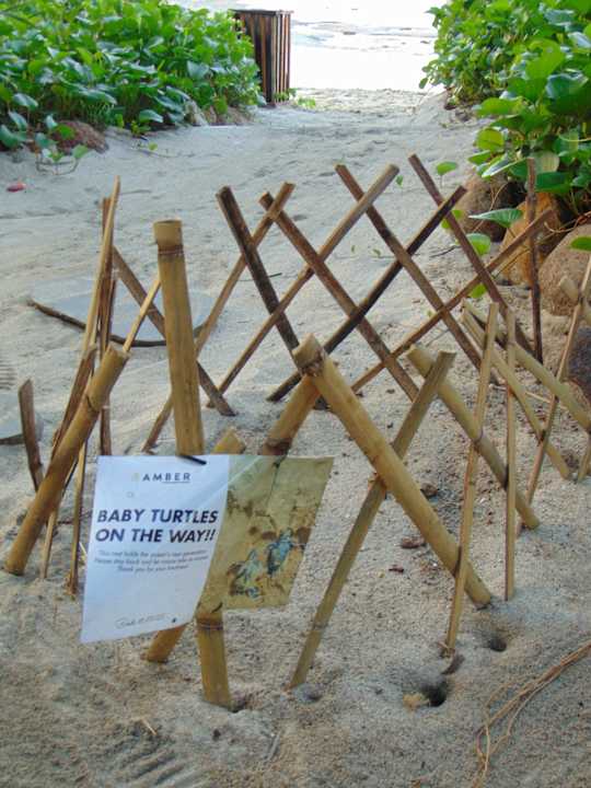 Gartenanlage Amber Lombok Beach Resort