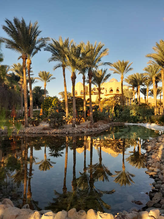 Gartenanlage Makadi Palace