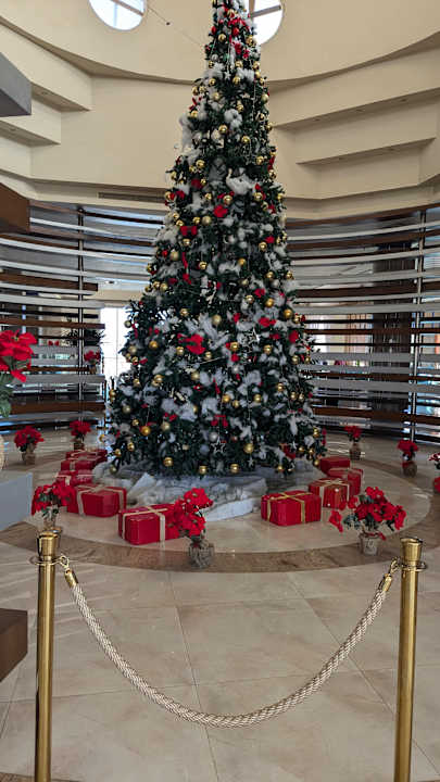Lobby Titanic Royal