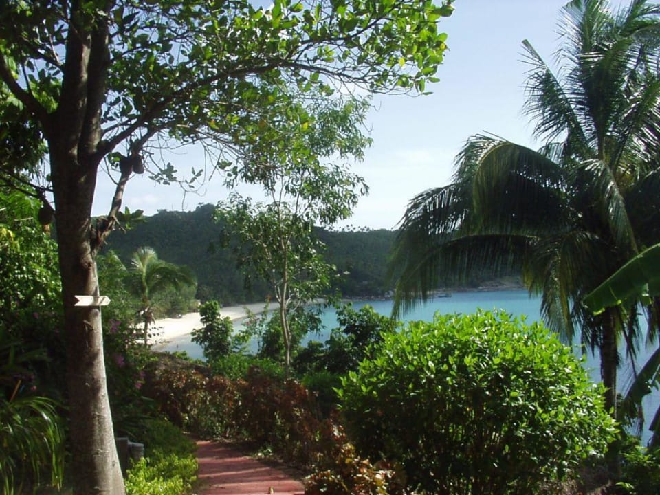 Der Weg zum Strand Panviman Resort Koh Phangan