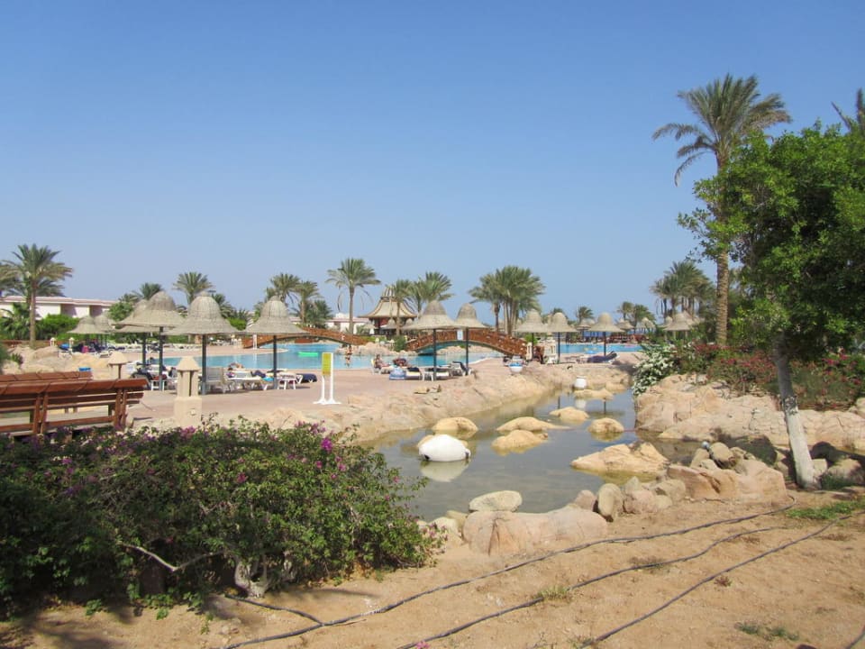 Hotel Radisson Blu Resort Parrotel Beach Resort