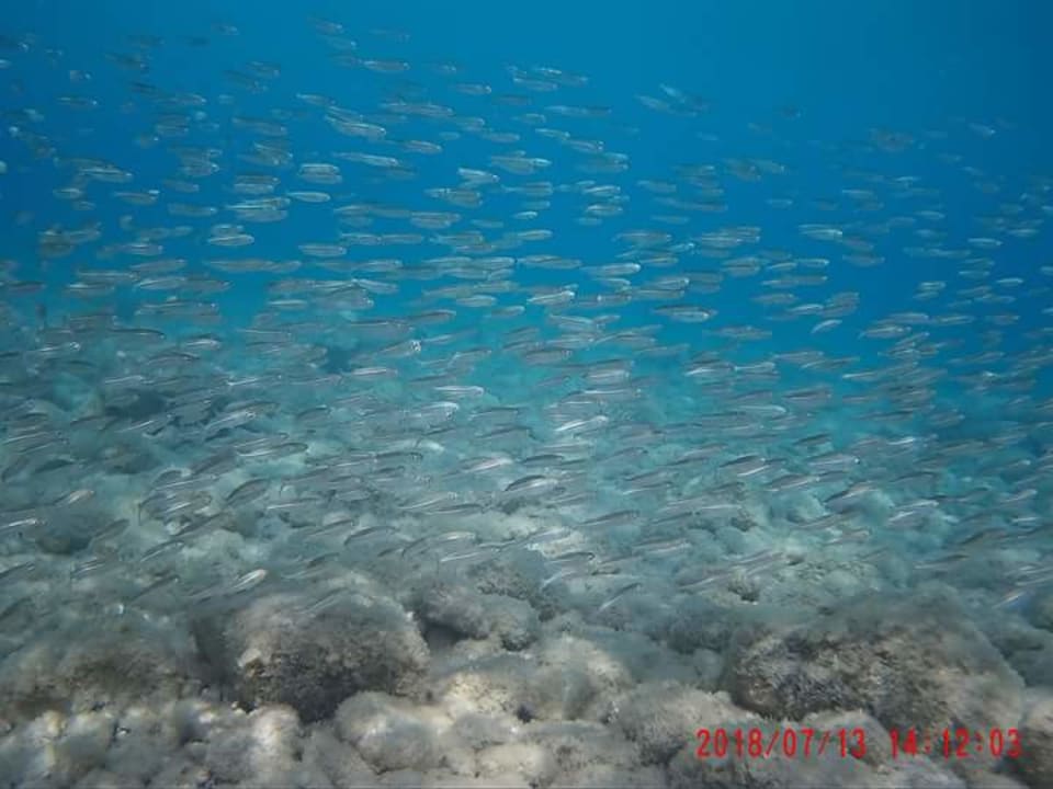 Strand Atlantica Mikri Poli Rhodes
