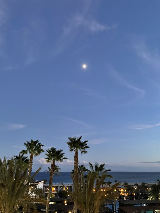 Ausblick Occidental Jandía Royal Level - Adults only