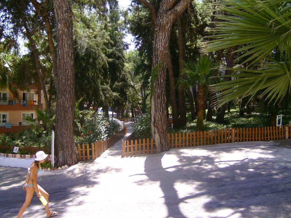 Gartenanlage Club Sidelya Hotel