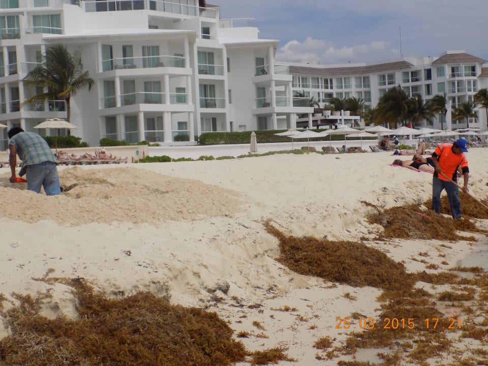 Hotelstrand Playacar Palace Ende  Hotel Playacar Palace