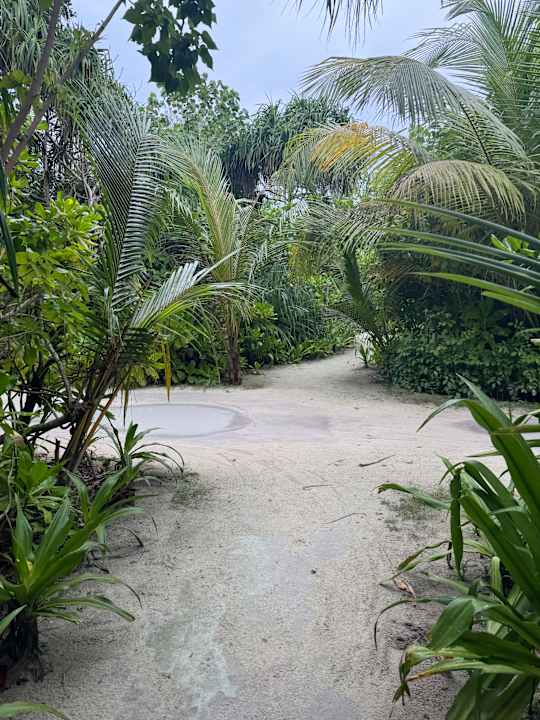 Ausblick Kuredu Island Resort & Spa