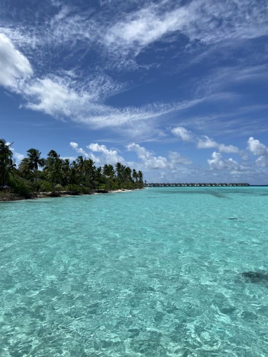 Ausblick NH Collection Maldives Havodda Resort